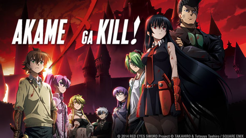 Image result for akame ga kill